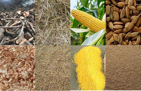 agriculture materials|raw materials from agriculture.